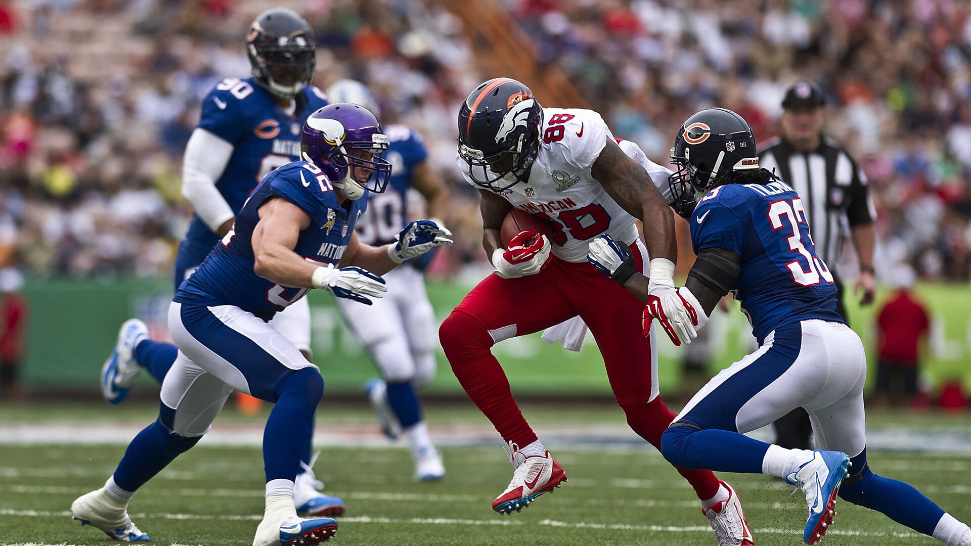 “游泳赛场聚焦！2025世界游泳锦标赛开战”